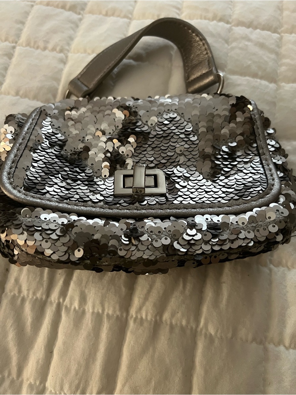Steve Madden Silver Sequin Mini Bag with Top Handle